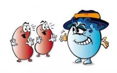 得了痛风需要防止哪些并发症发生?