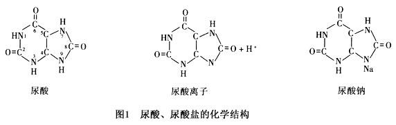 成都西部痛风风湿医院